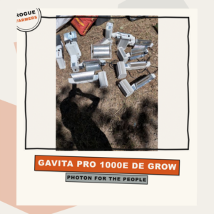 Gavita Pro 1000e DE Grow Light